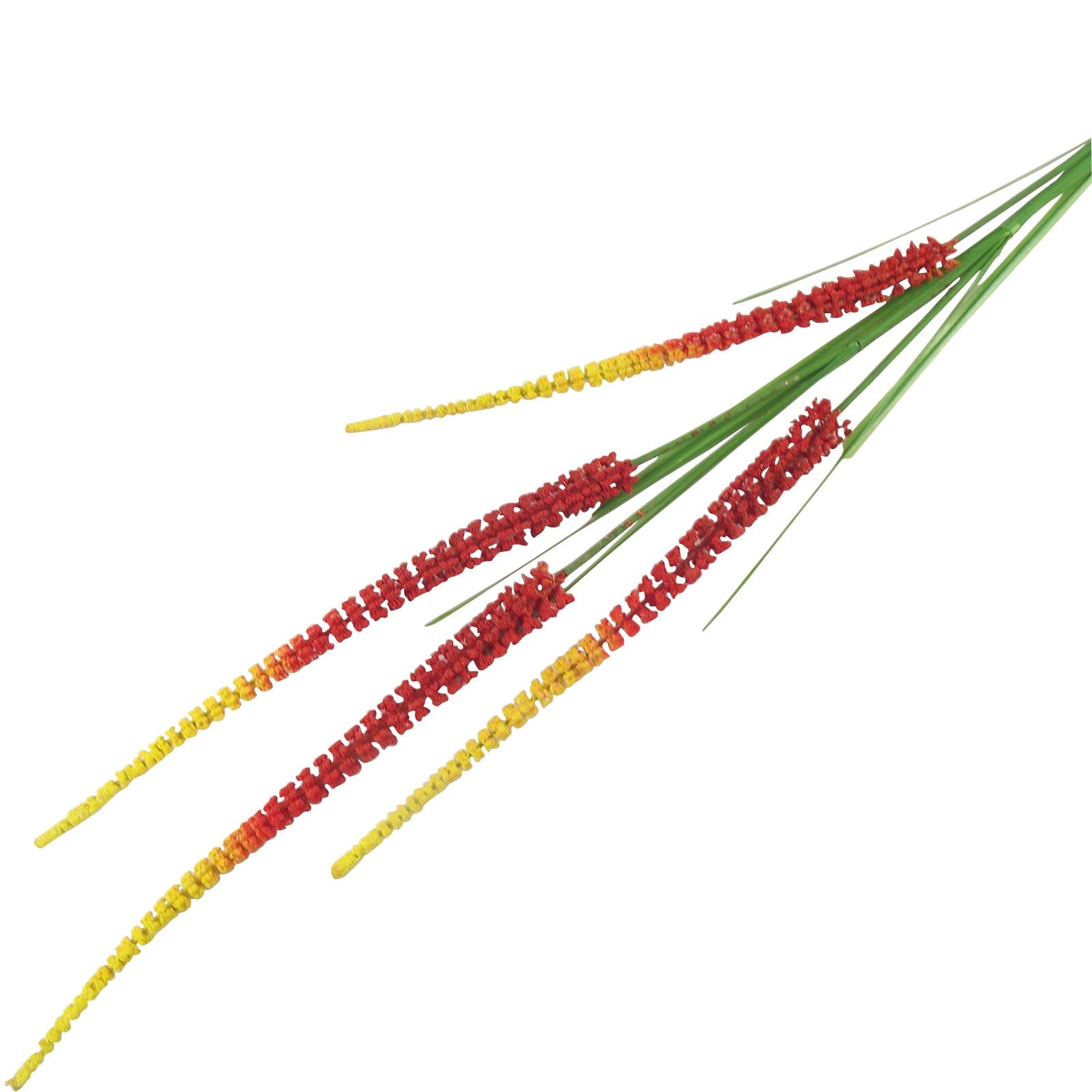 Long Marsh Shoots Flowers