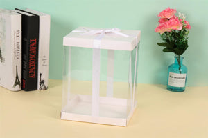 Extra Large Clear PVC Box