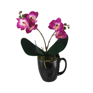 Mini Cuchi Orchid Spray