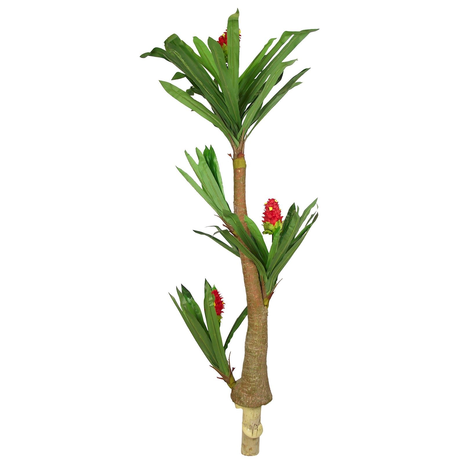 Large Tropical Ginger Flower Tree