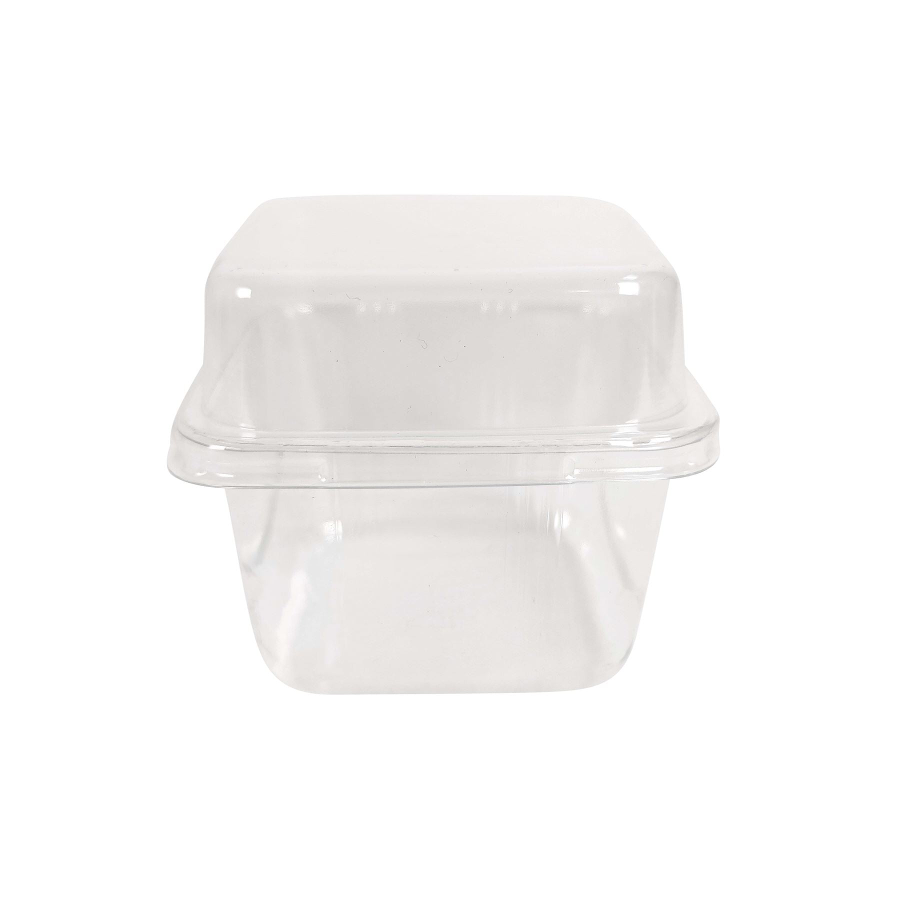 Fruit Salad and Dessert Containers with Lids