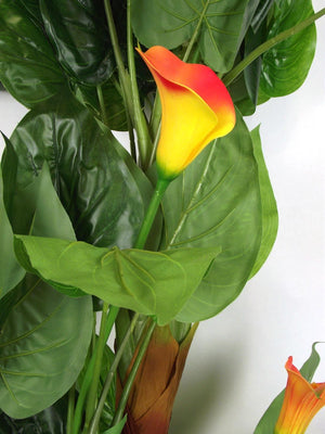 Large Tropical Calla Lily Tree