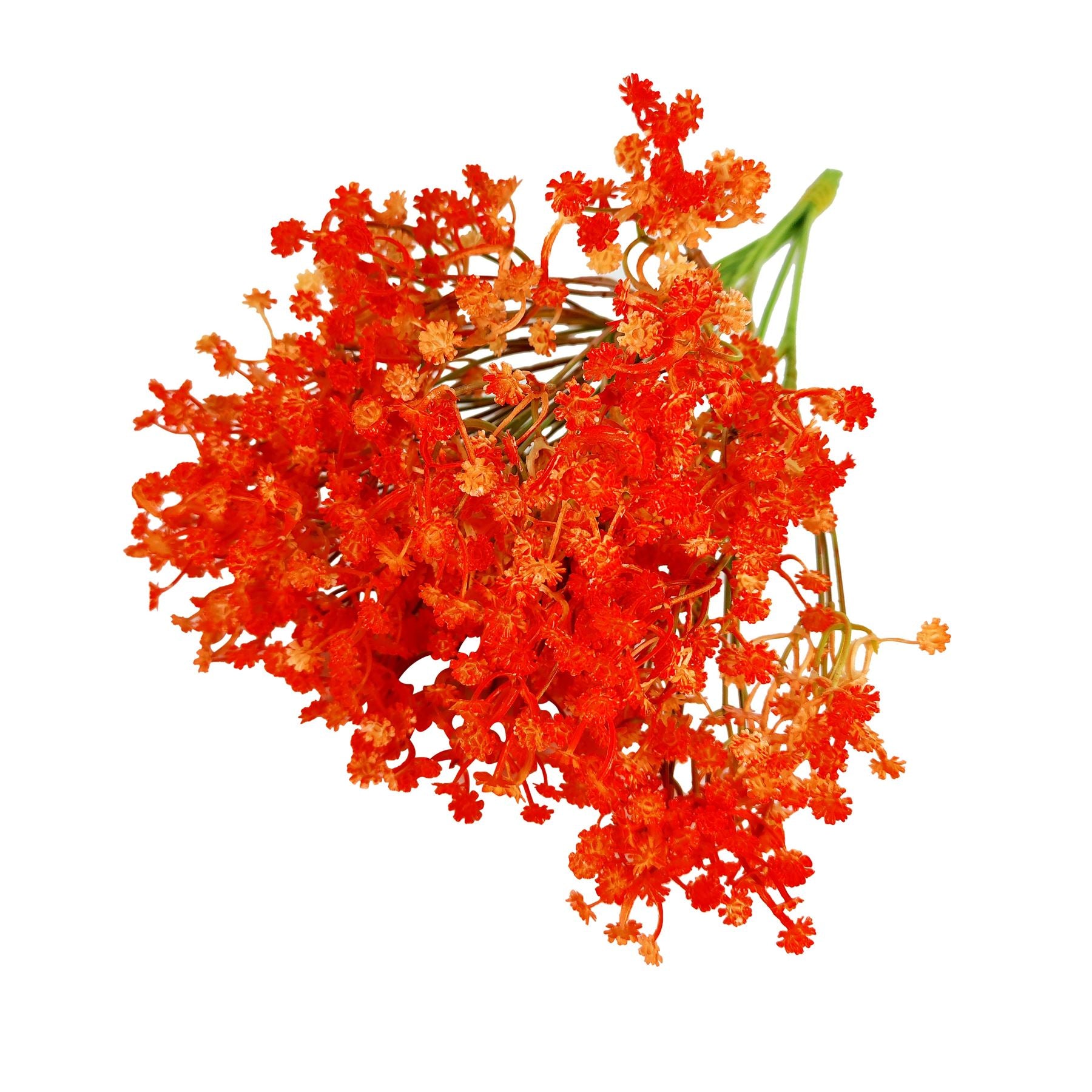 Coloured Gypsophila Sprays