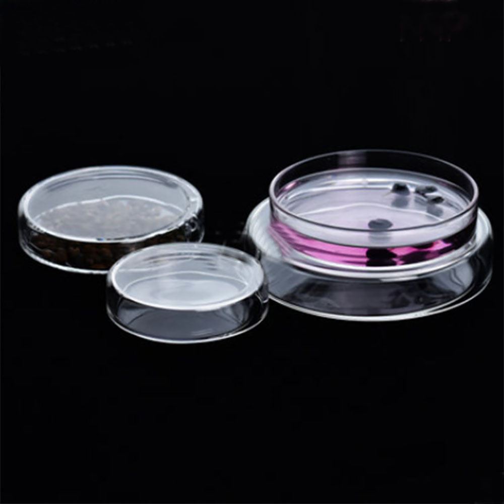 Glass Petri Dish