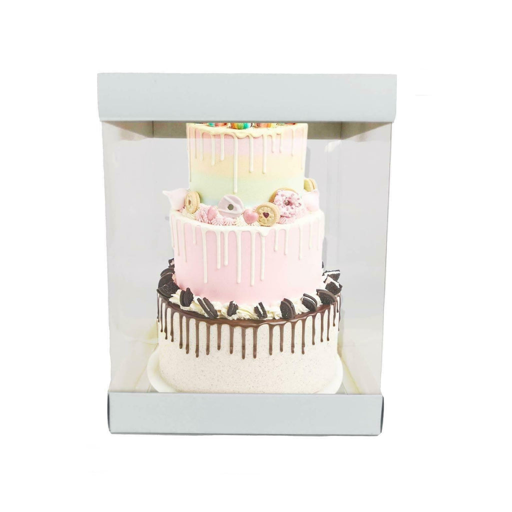 Extra Large Clear PVC Box