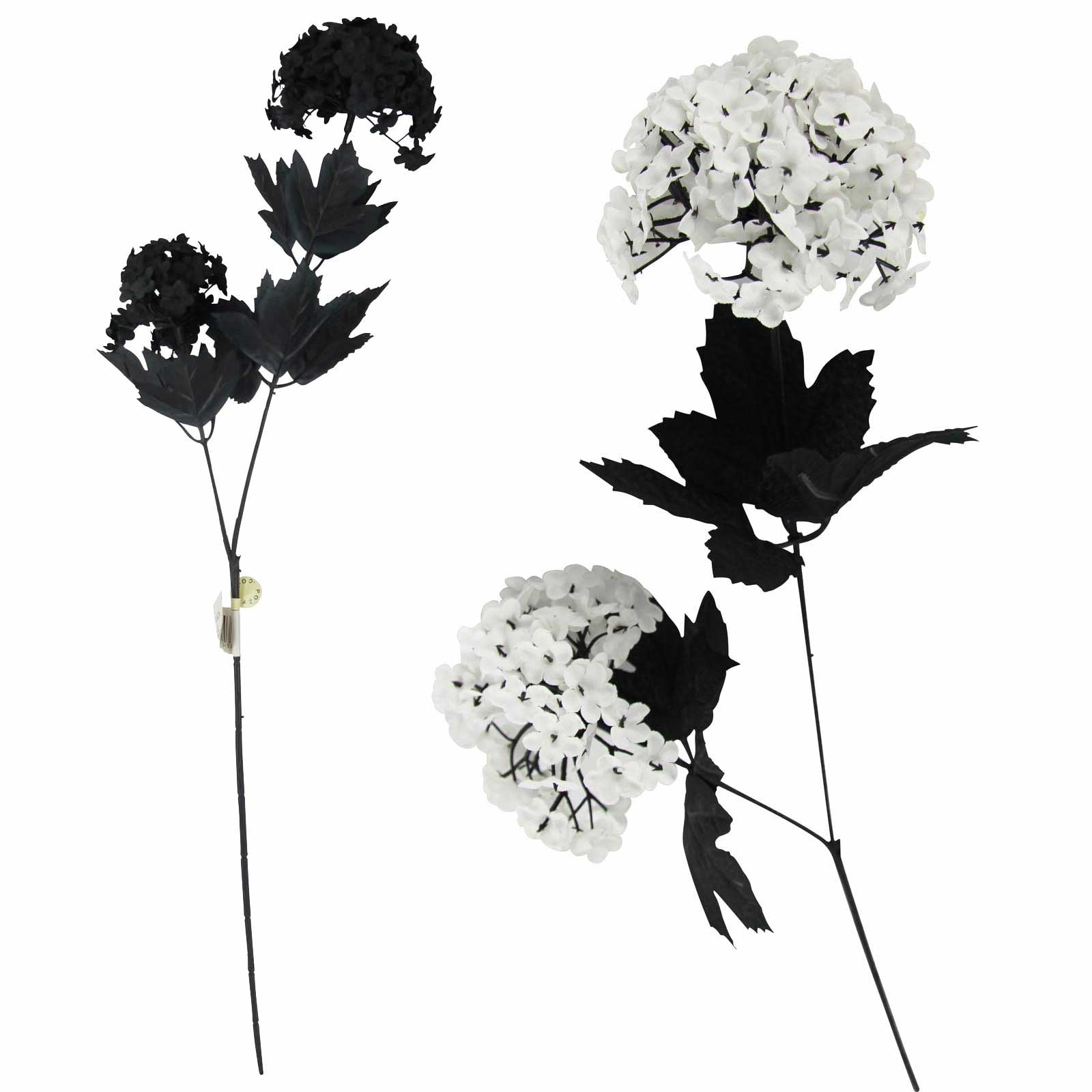 Snowball Hydrangea Flower