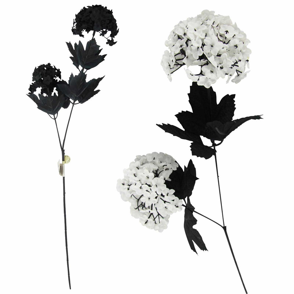 Snowball Hydrangea Flower