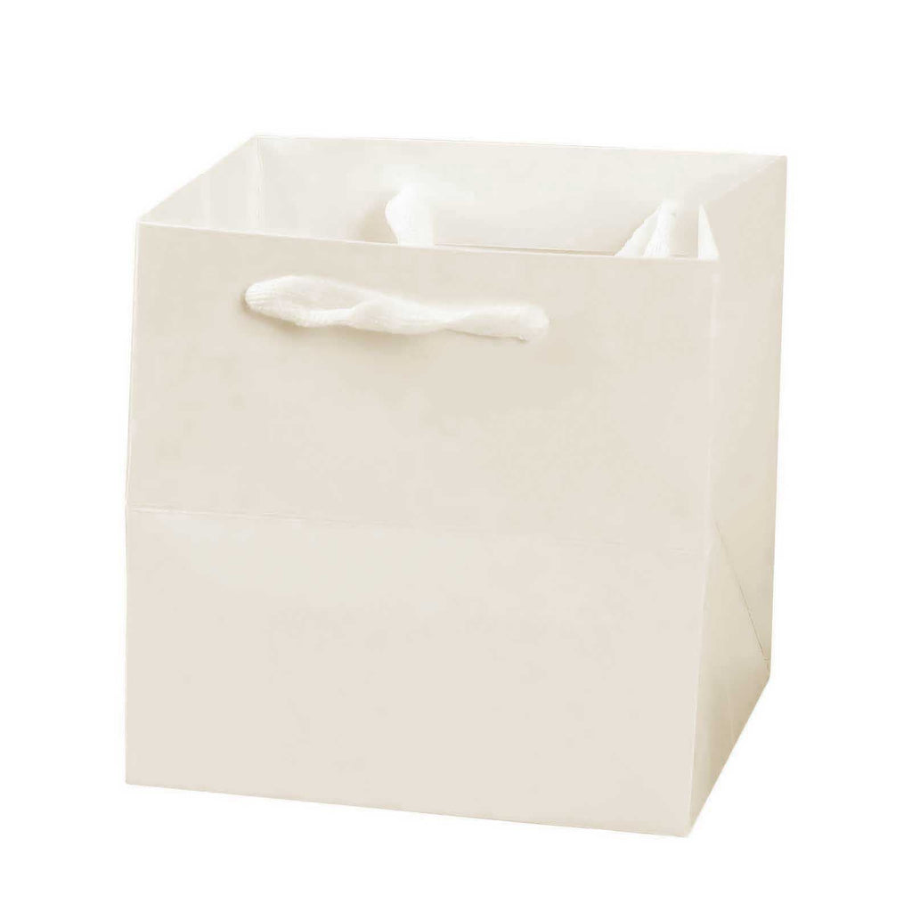 Square Gift and Flower Bags