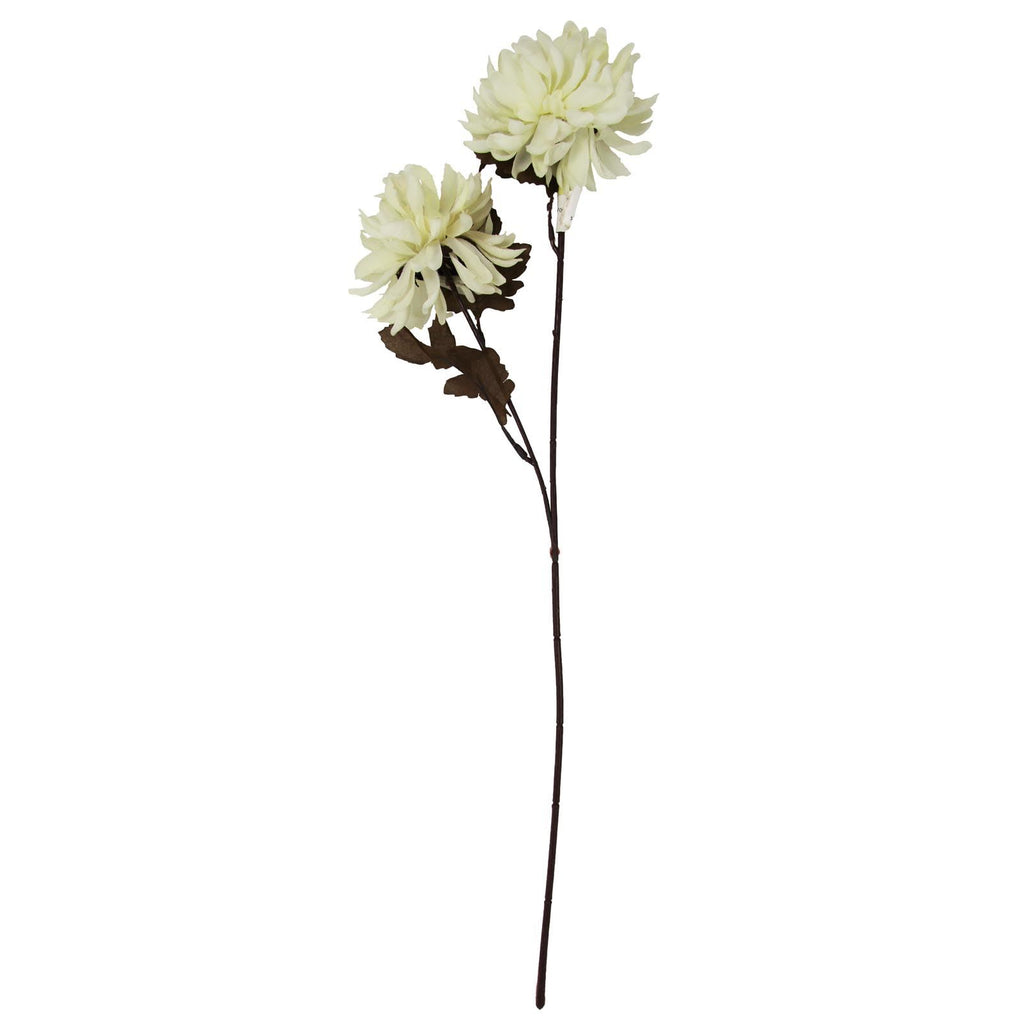 2 Head Chrysanthemum