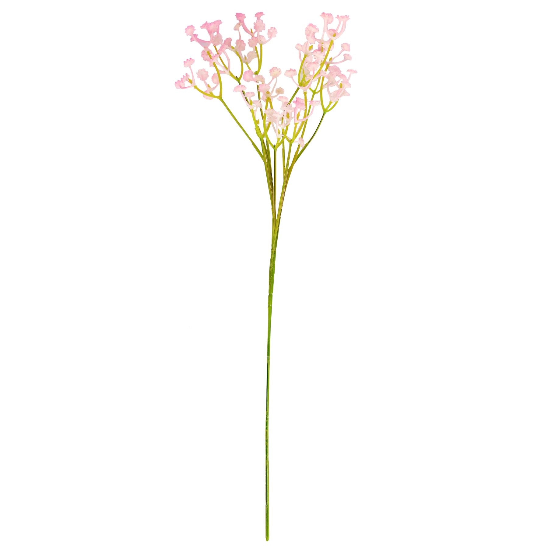 Coloured Gypsophila Sprays