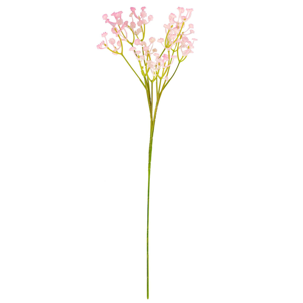 Coloured Gypsophila Sprays