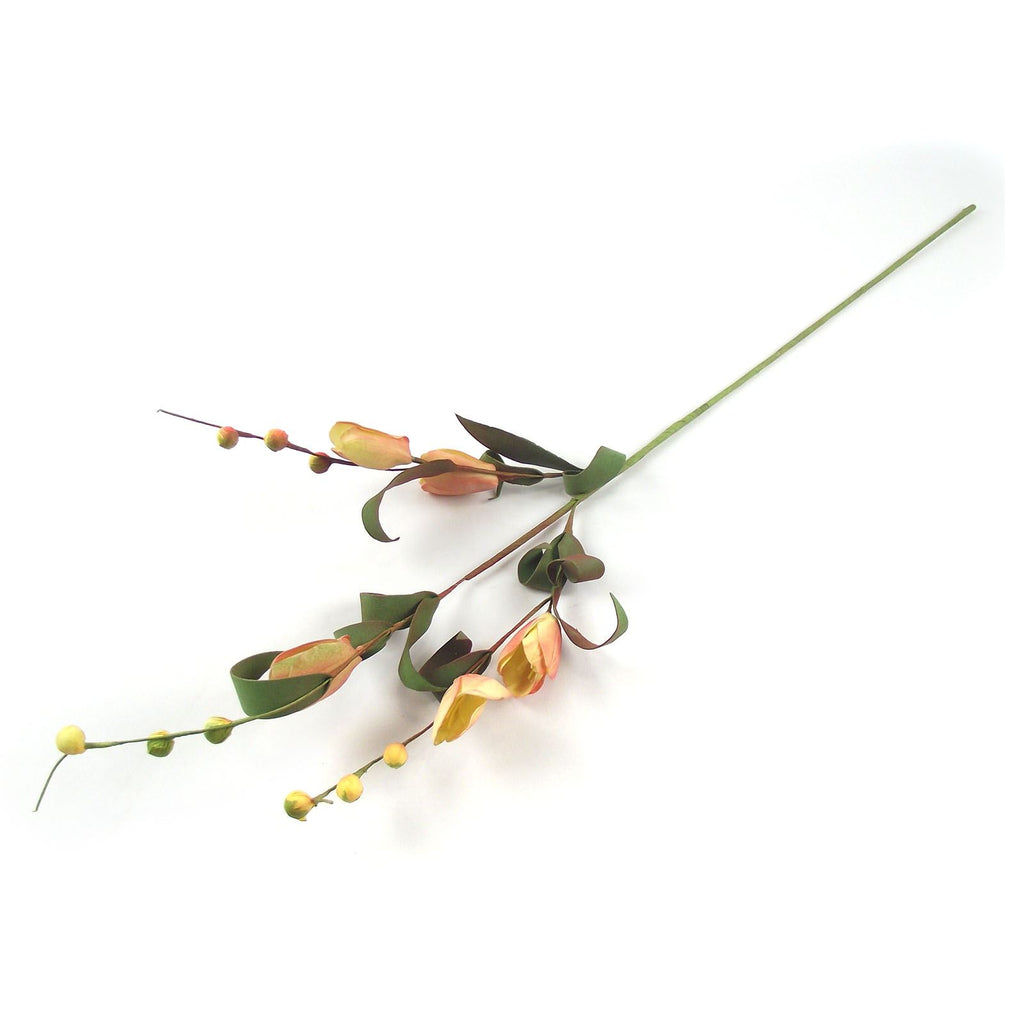 5 Head Crocus Foam Spray