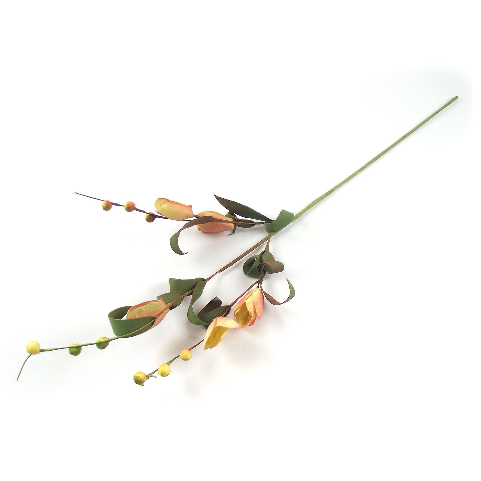 5 Head Crocus Foam Spray