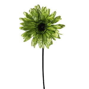 Metallic Gerbera with Velvet Stem