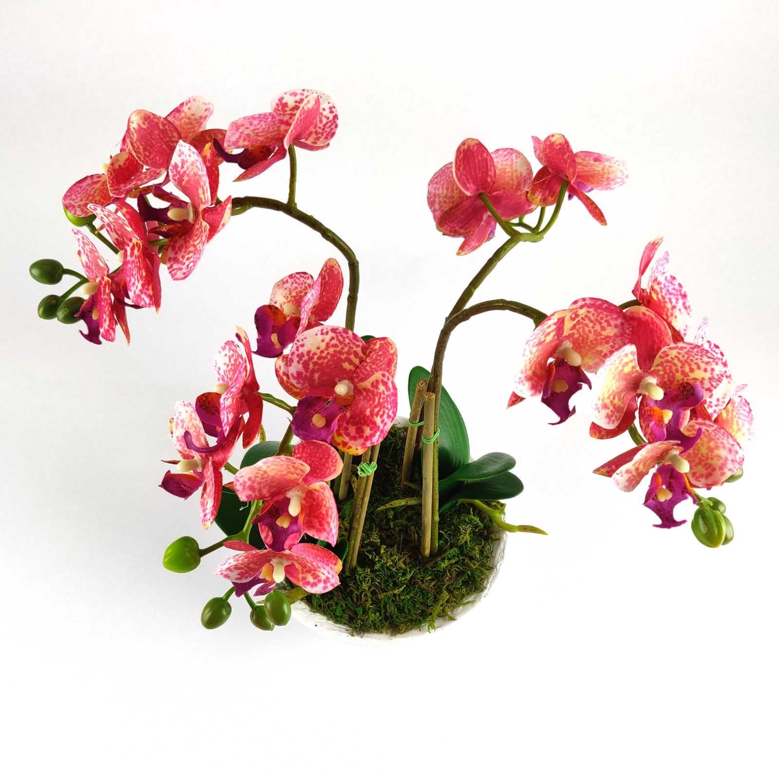 Pre-Potted Real Touch Orchid Plants