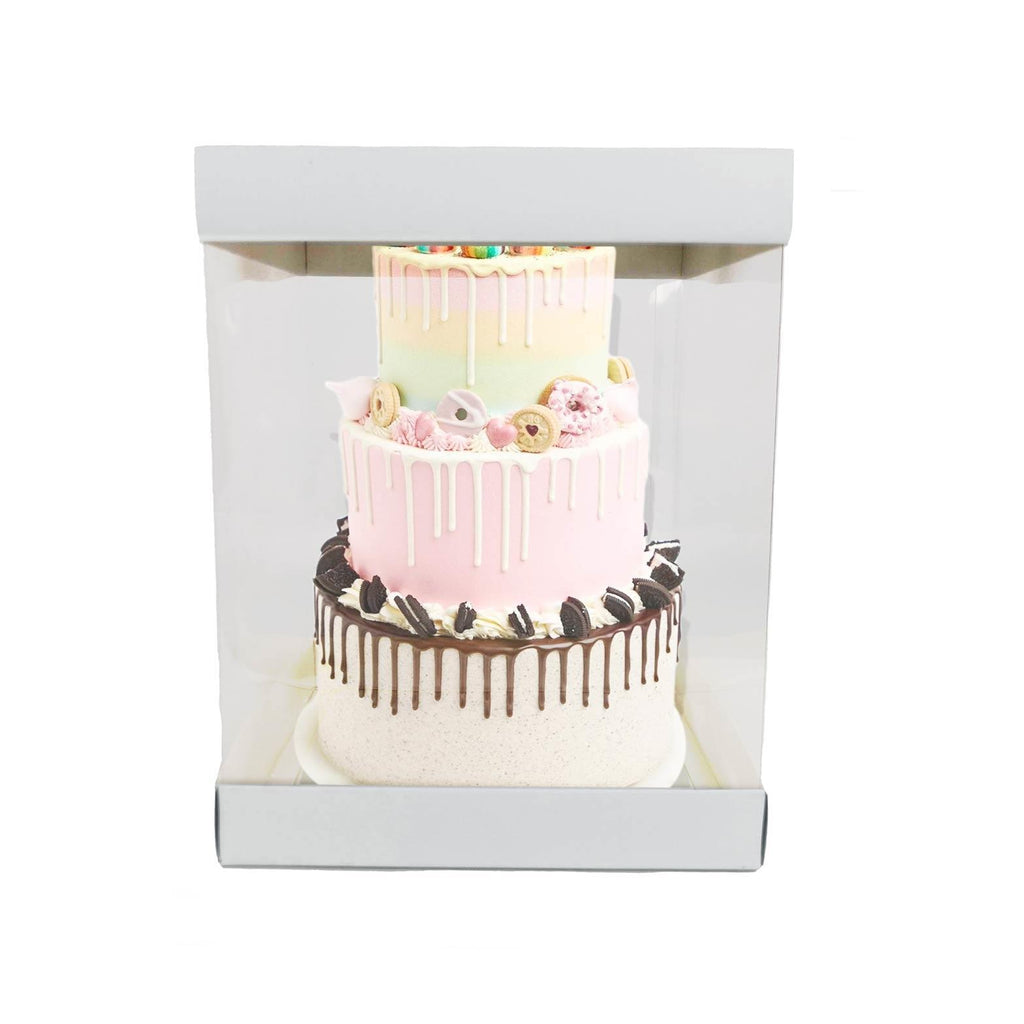 Extra Large Clear PVC Box
