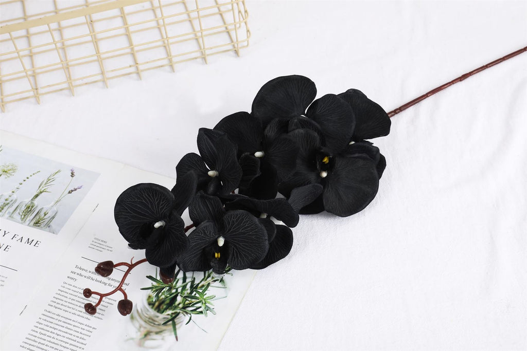 Premium Modern Large Orchid