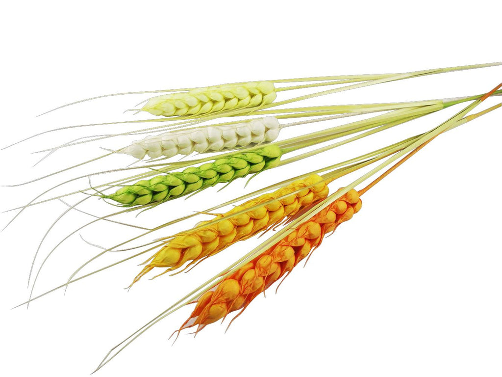 Extra Large Wheat Grain with Grass
