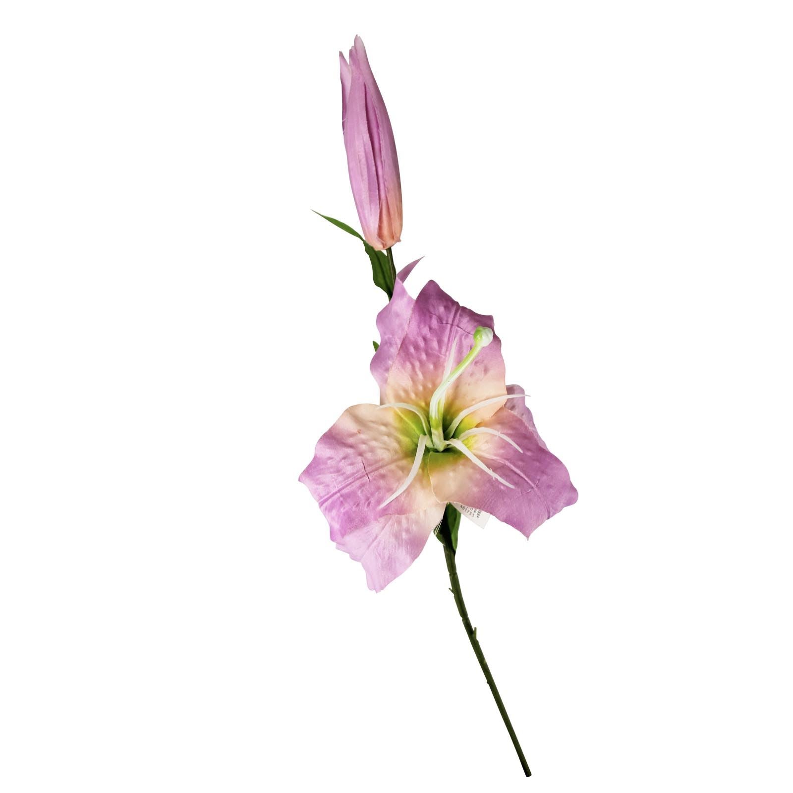 Box of 12 Lilac Pink Satin Casa Blanca Lily