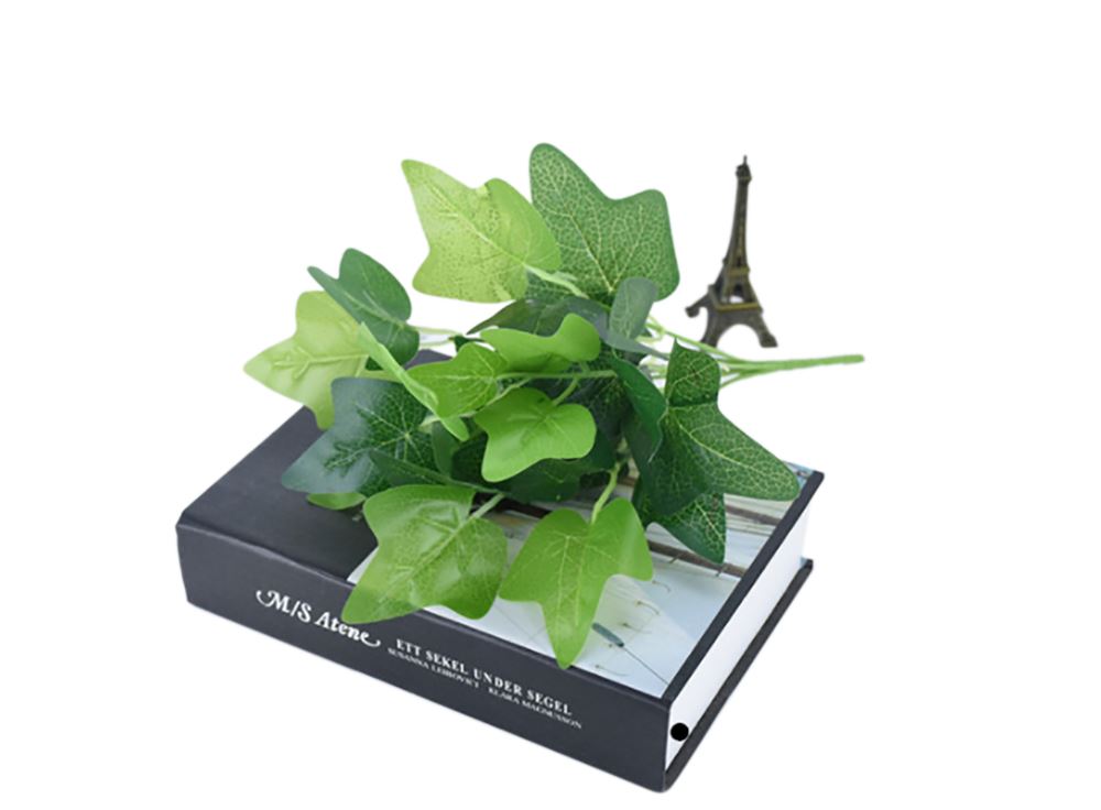 Glossy Foliage Bunches