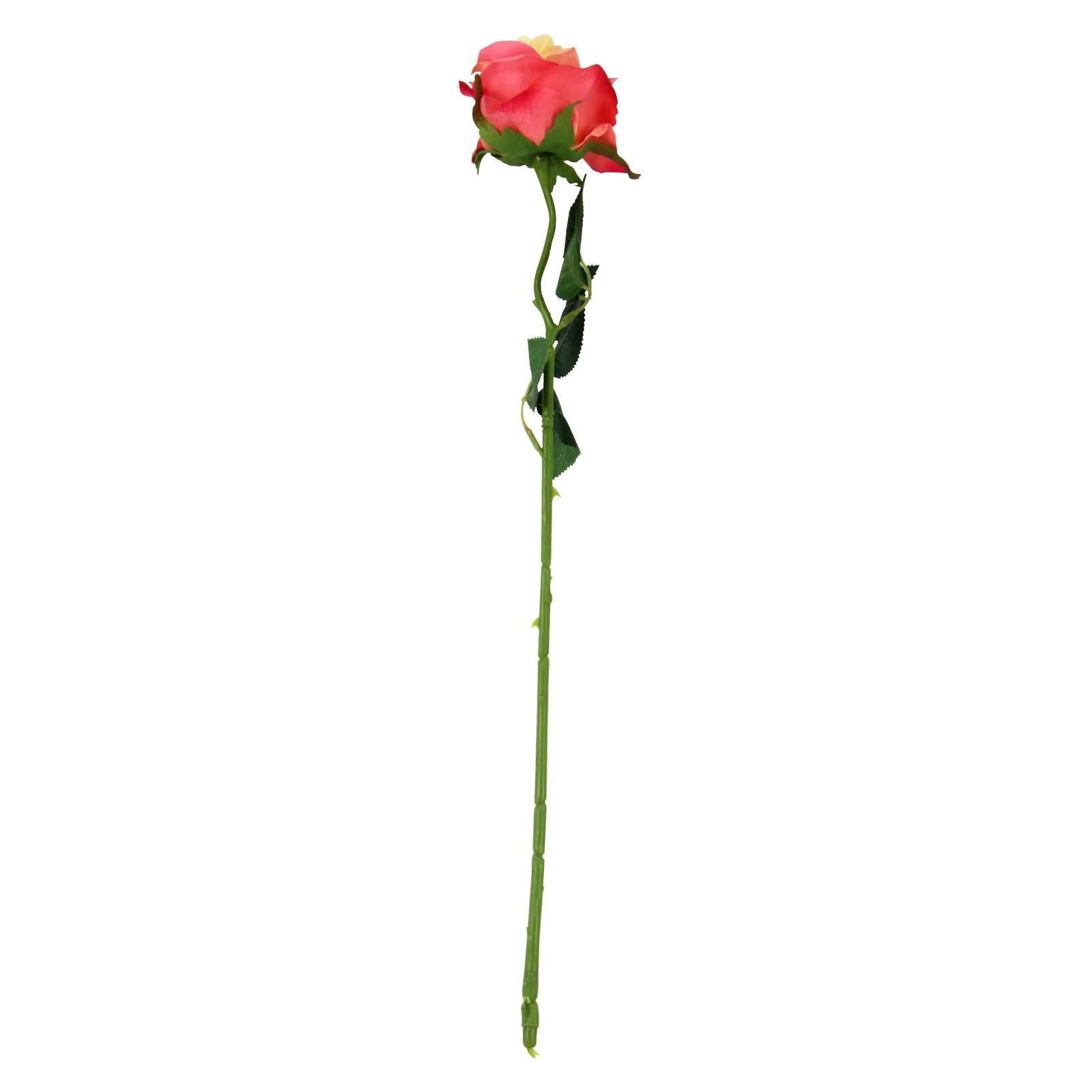 Soft Touch Premium Roses