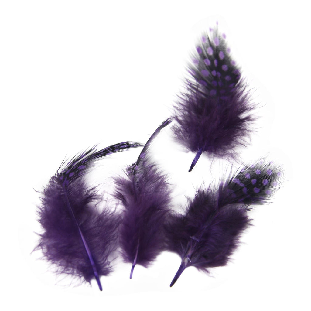 Spotted Guinea Fowl Feathers