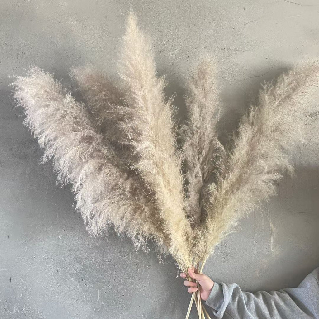 XL Natural Dried Pampas Grass Reed Flower Stems - Palm Spear Feather Foliage