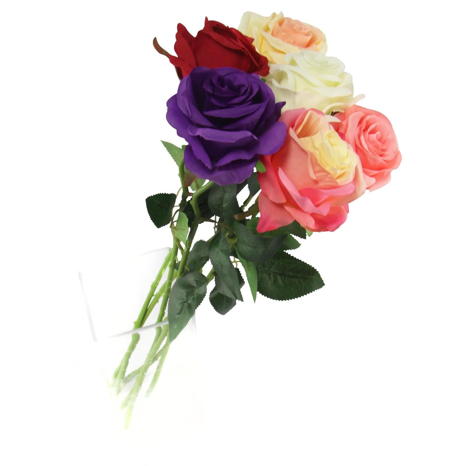 Soft Touch Premium Roses