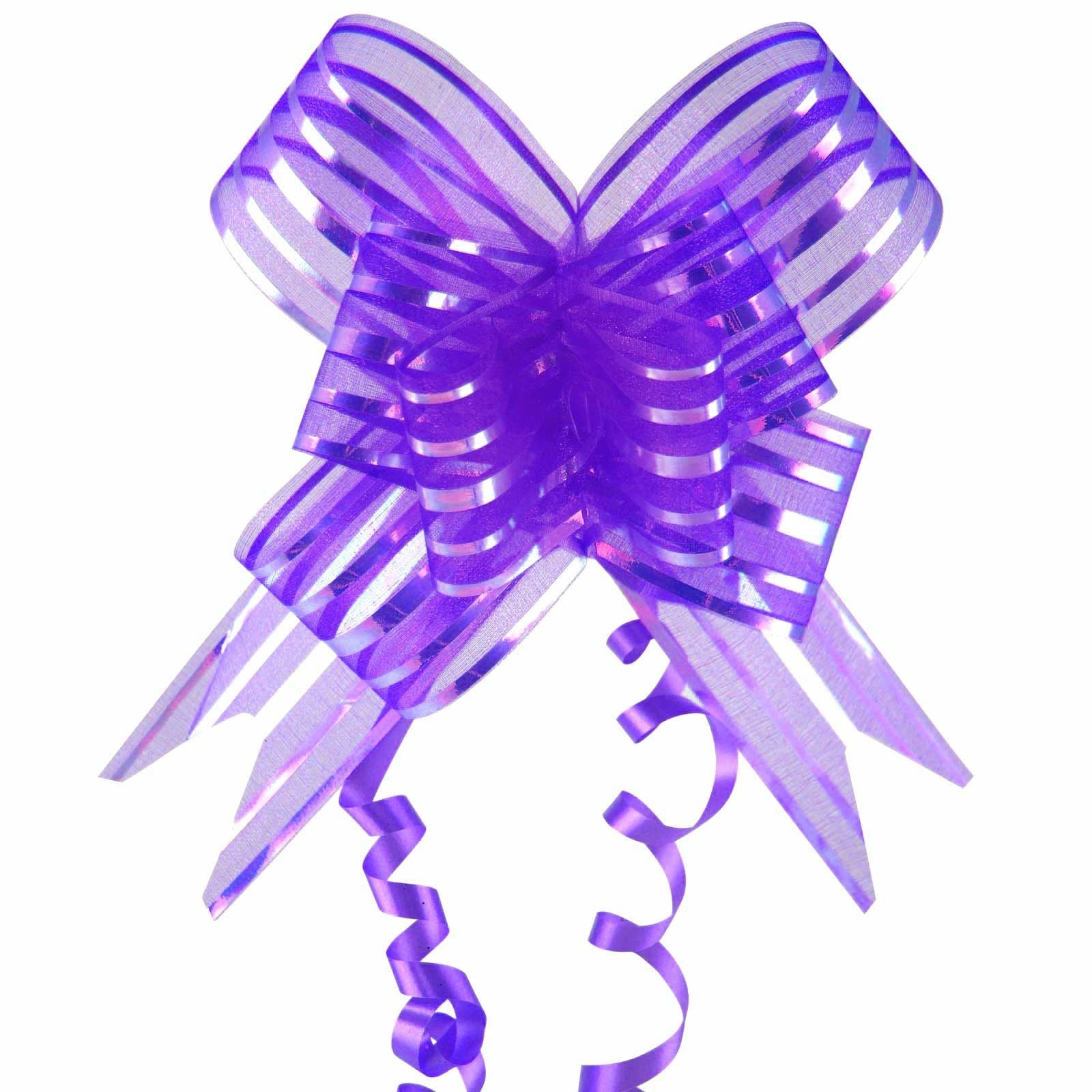 Giant 50mm Organza Butterfly Pull Bows