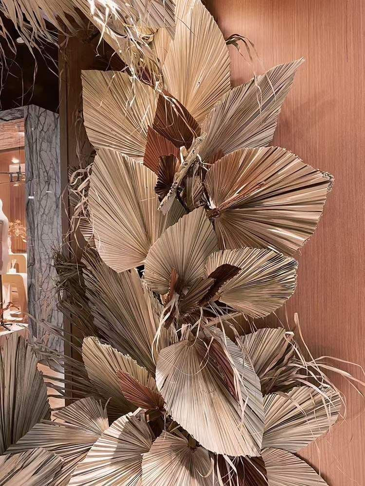XL Natural Dried Palm Spears