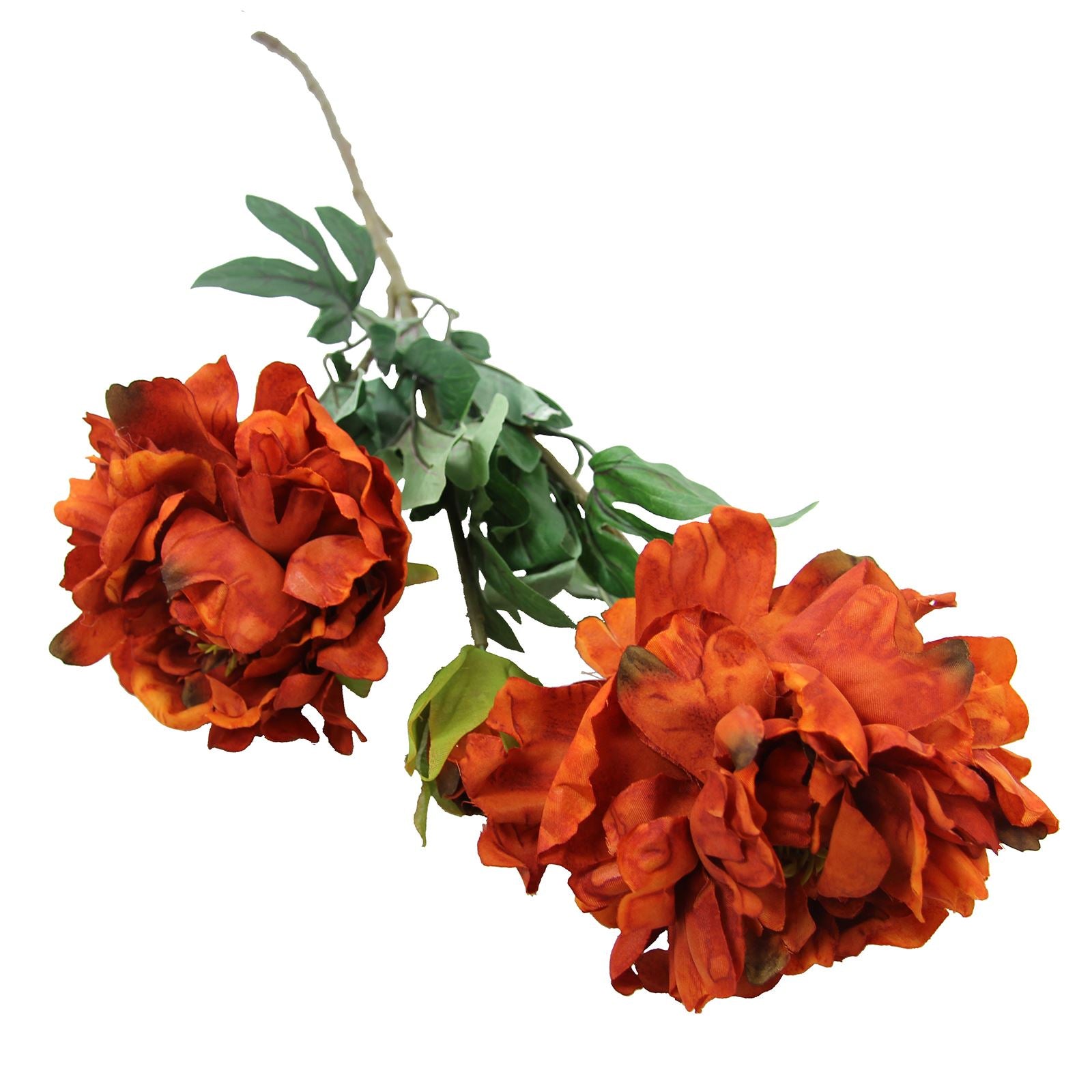 Large Open Peony Spray
