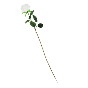 Single Eco Rose Stem