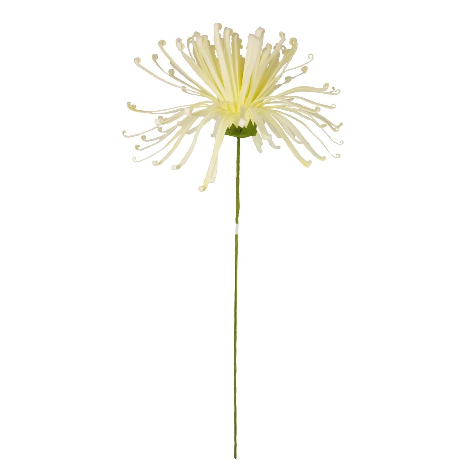 XXL Shimmy Spider Mum