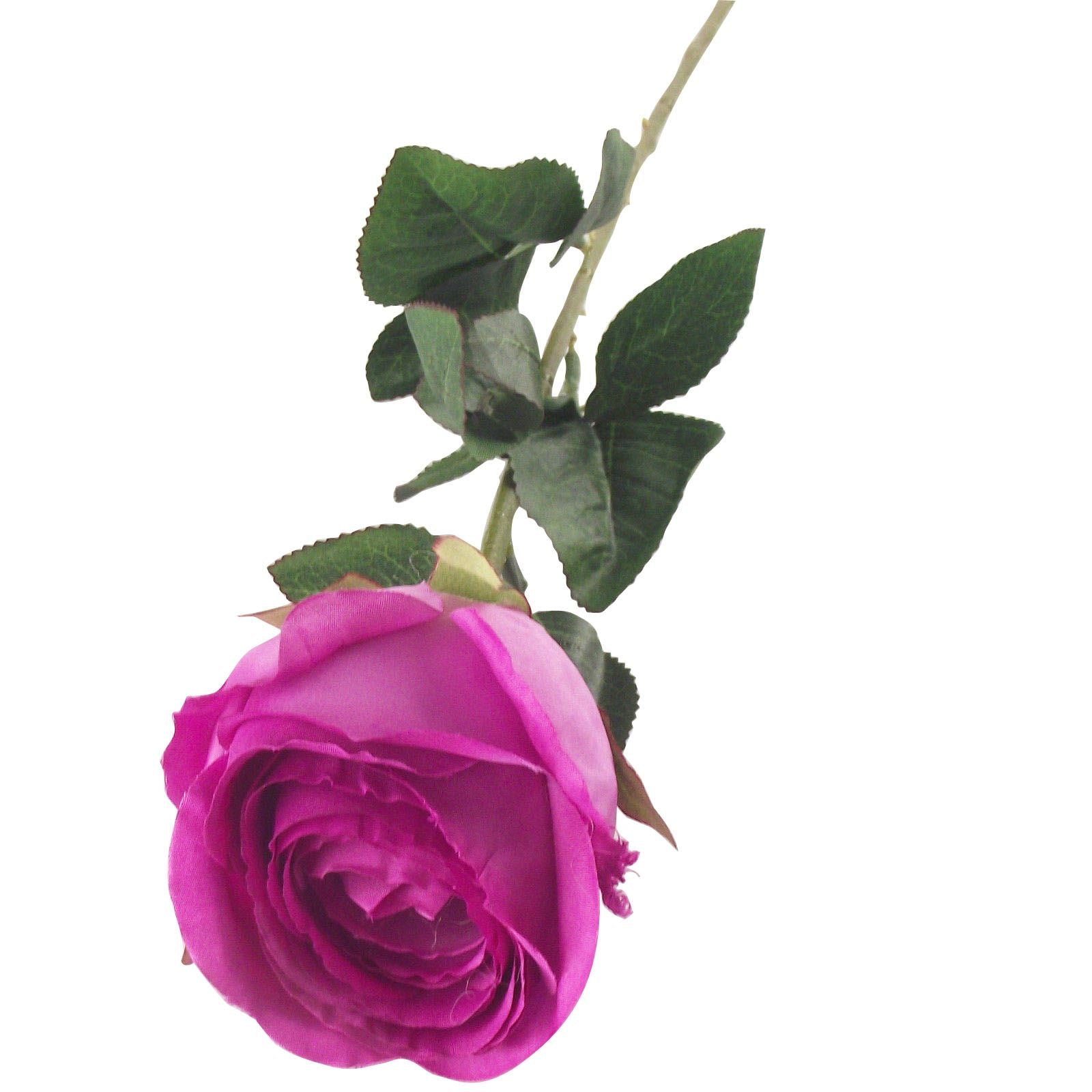 Single XL Closed Rose Bud