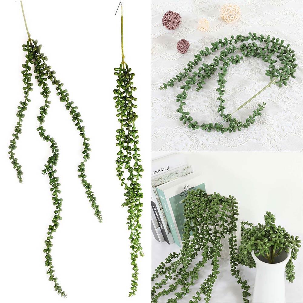2x Trailing String Of Pearls Stems