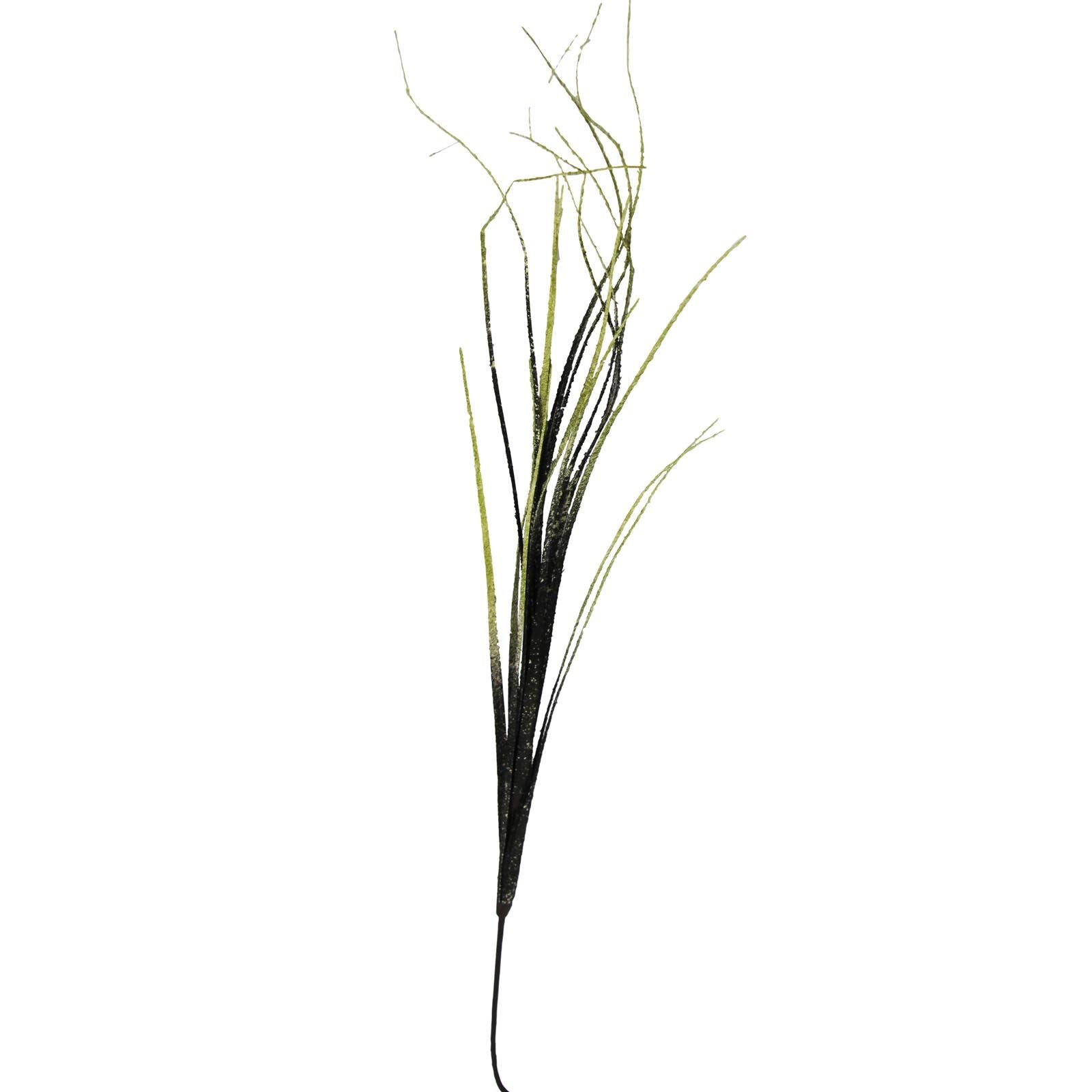 Textured Onion Bear Grass