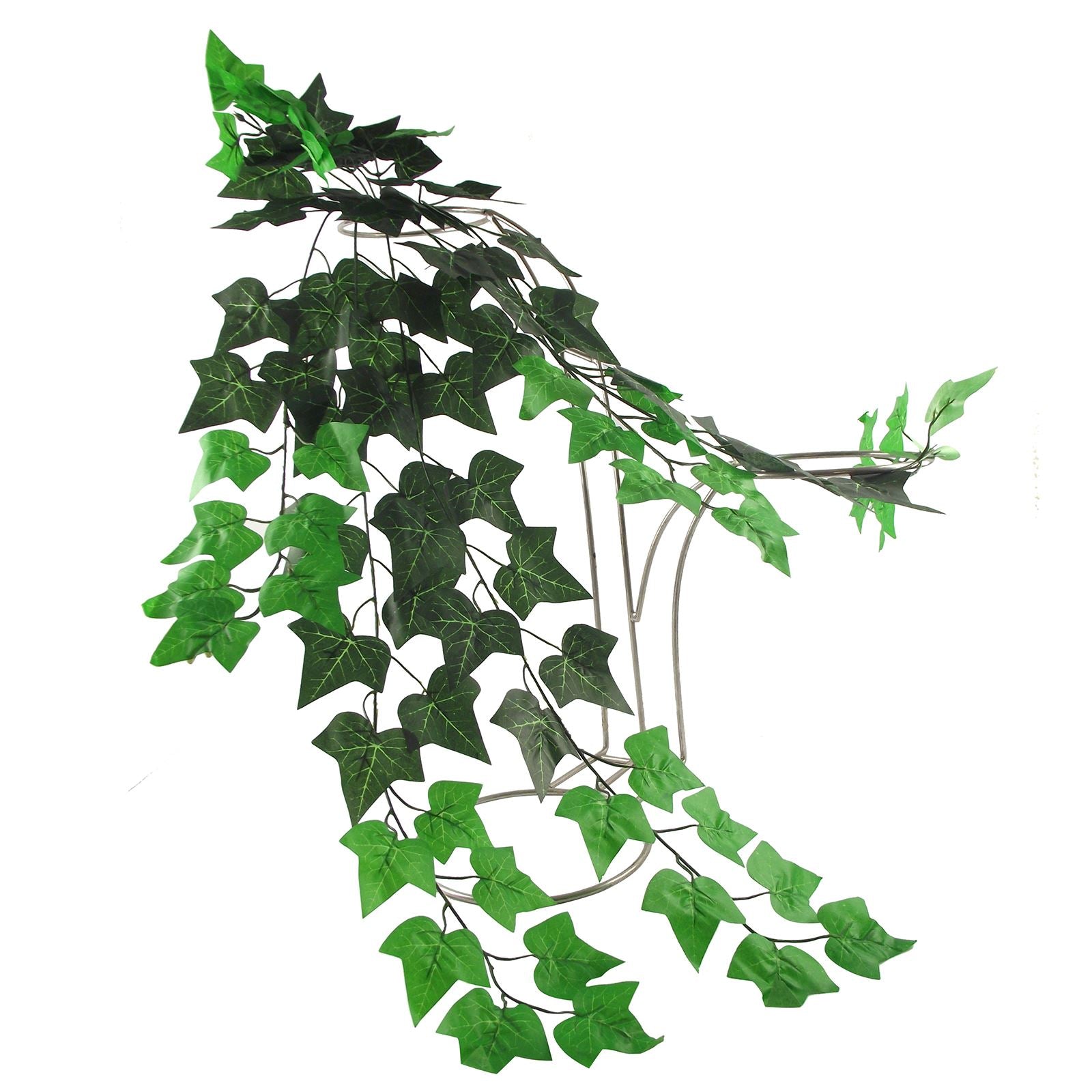 Thick Trailing Ivy Pick
