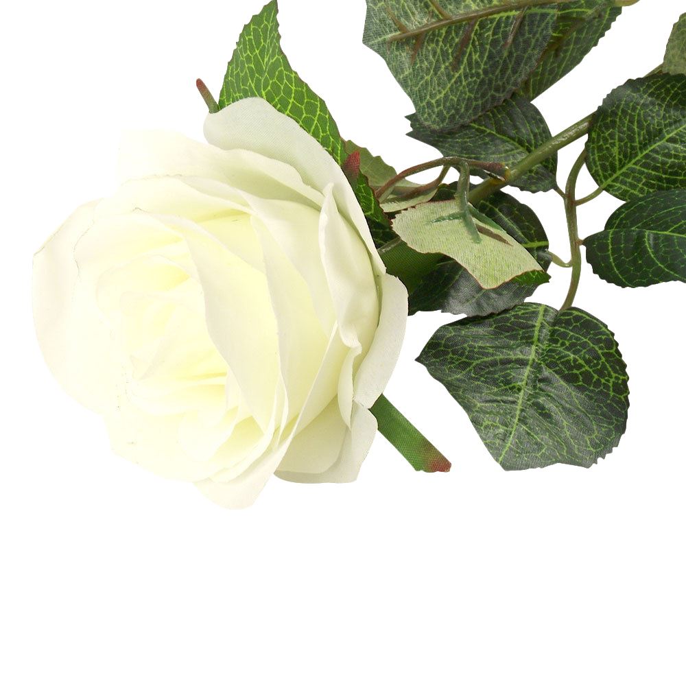 Premium Single Open Rose