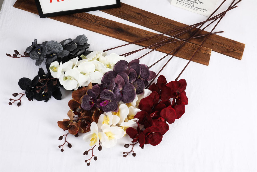 Premium Modern Large Orchid