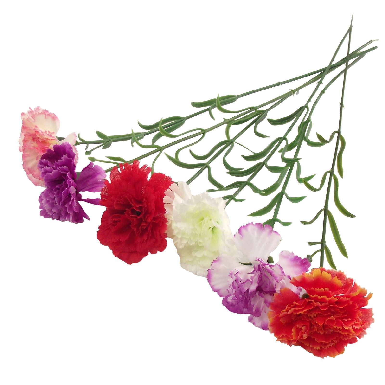 Half Dozen Single Carnations