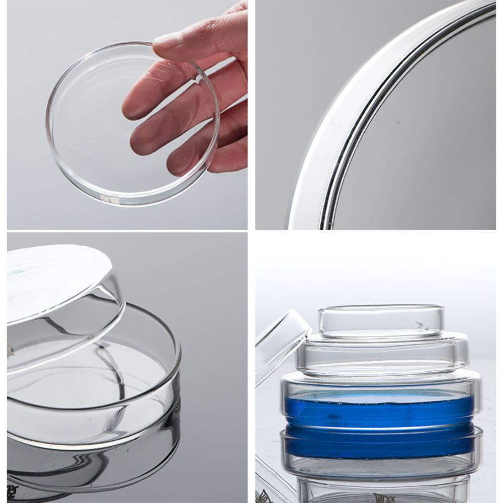 Glass Petri Dish