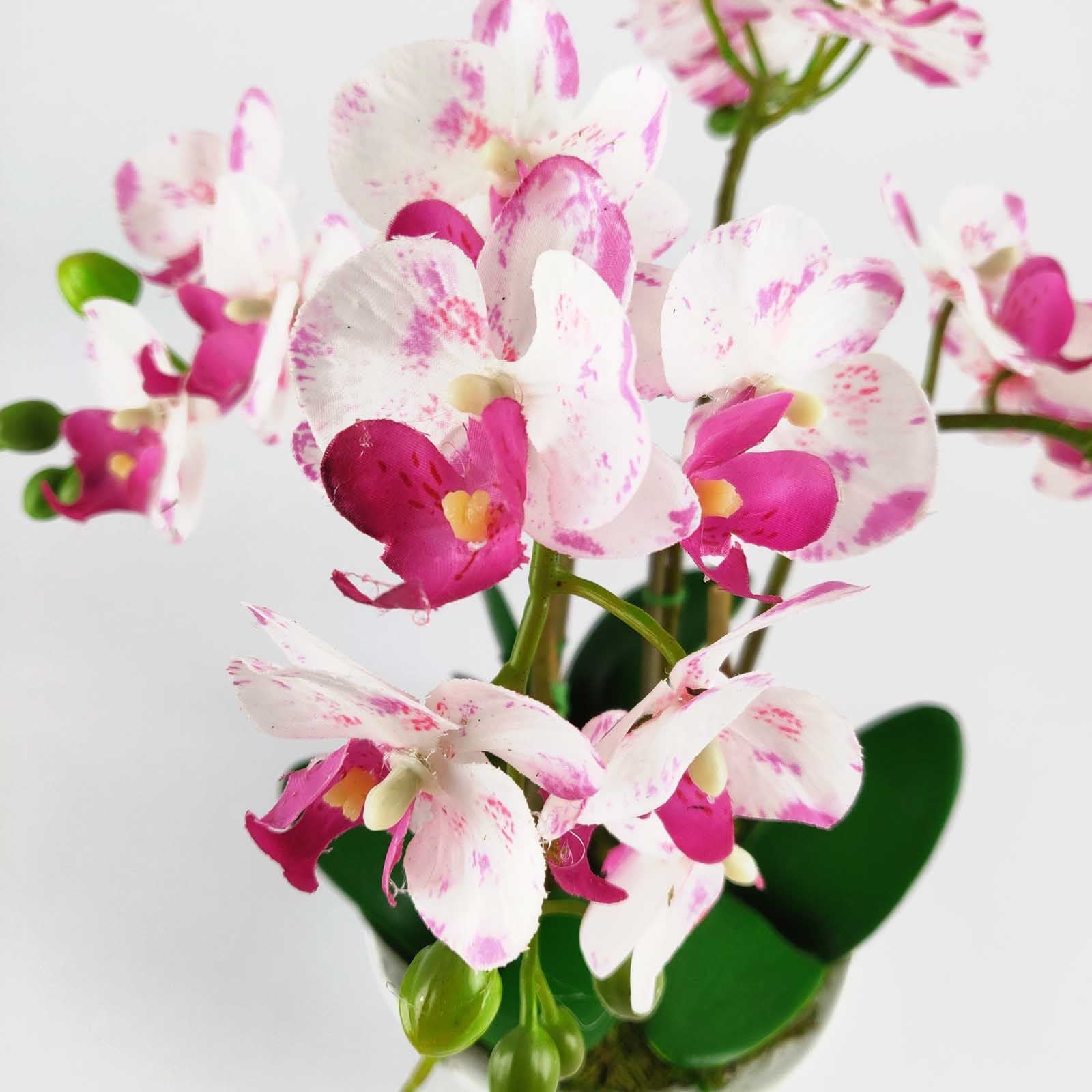 Pre-Potted Real Touch Orchid Plants