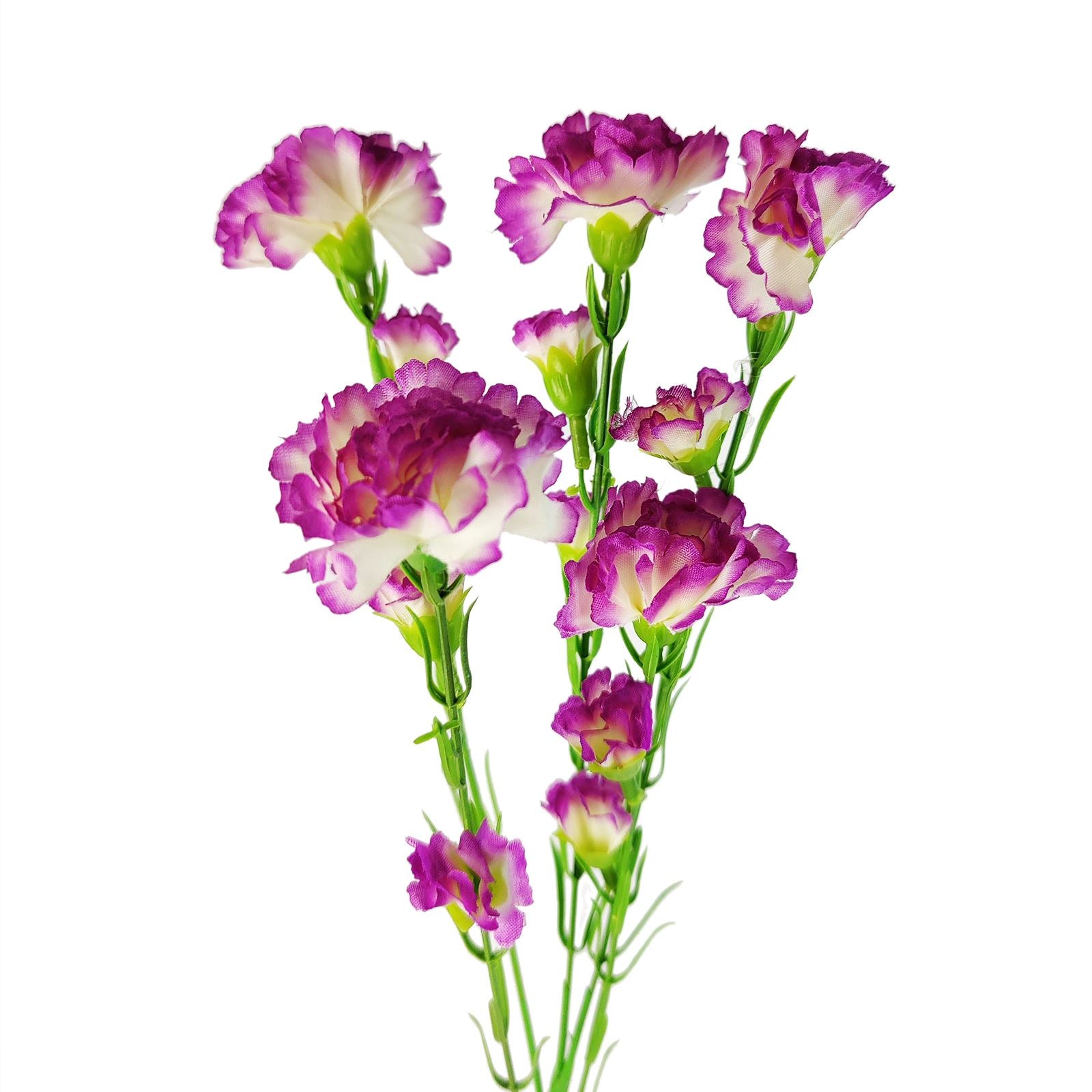 Carnation Spray