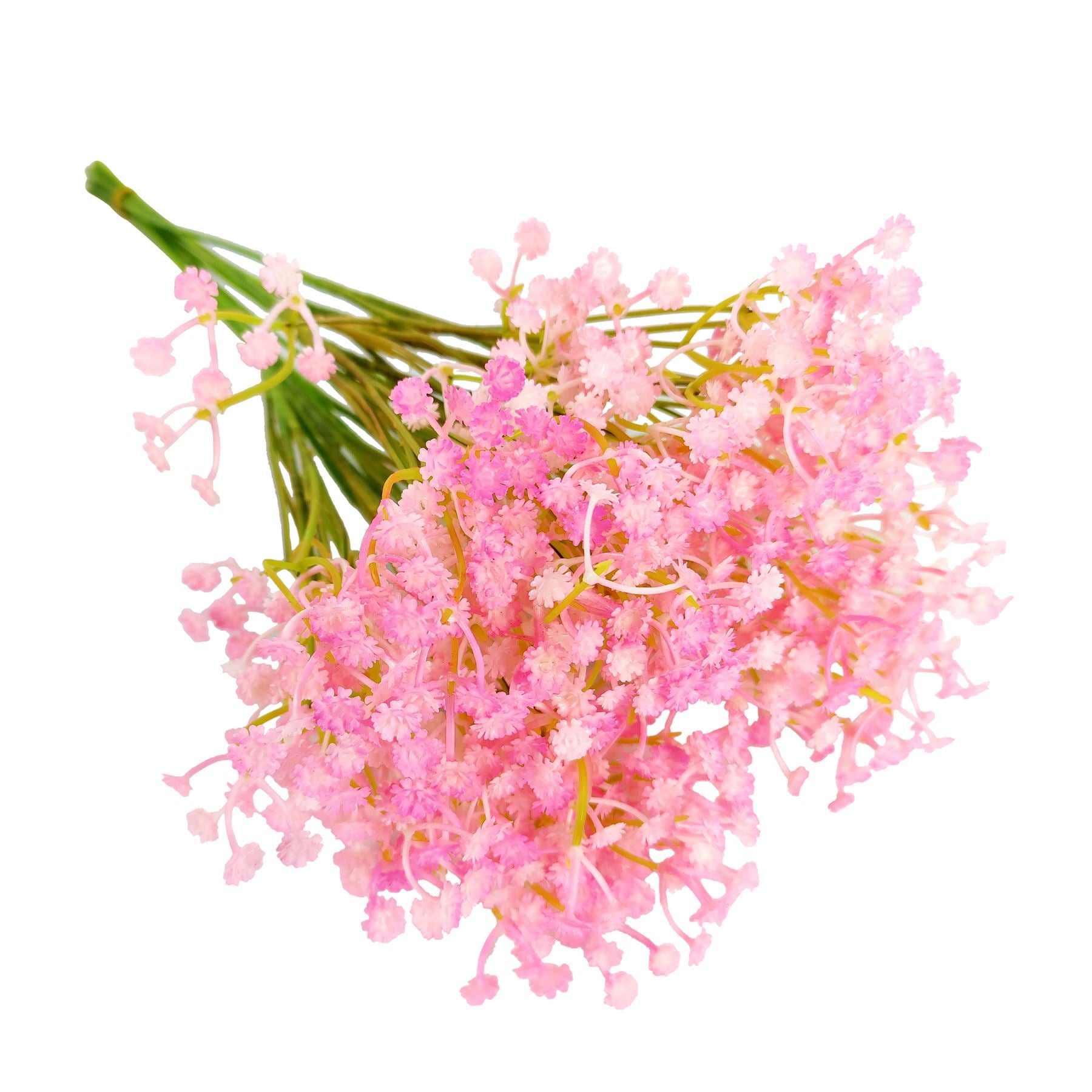Coloured Gypsophila Sprays