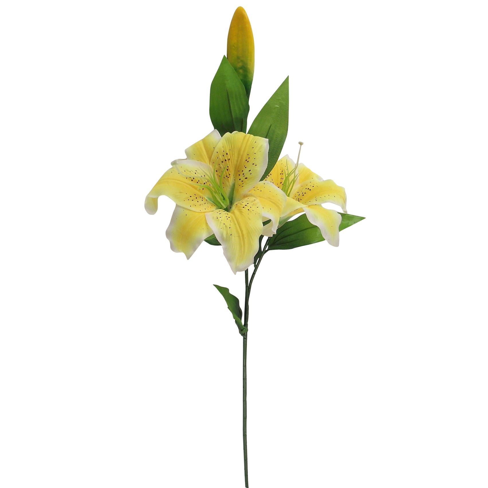 Stargazer Lily Spray