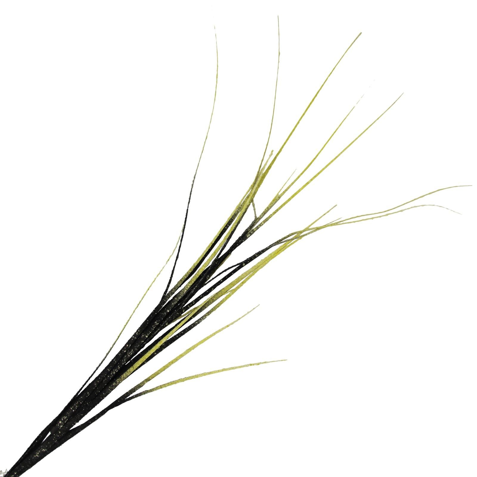 Textured Onion Bear Grass
