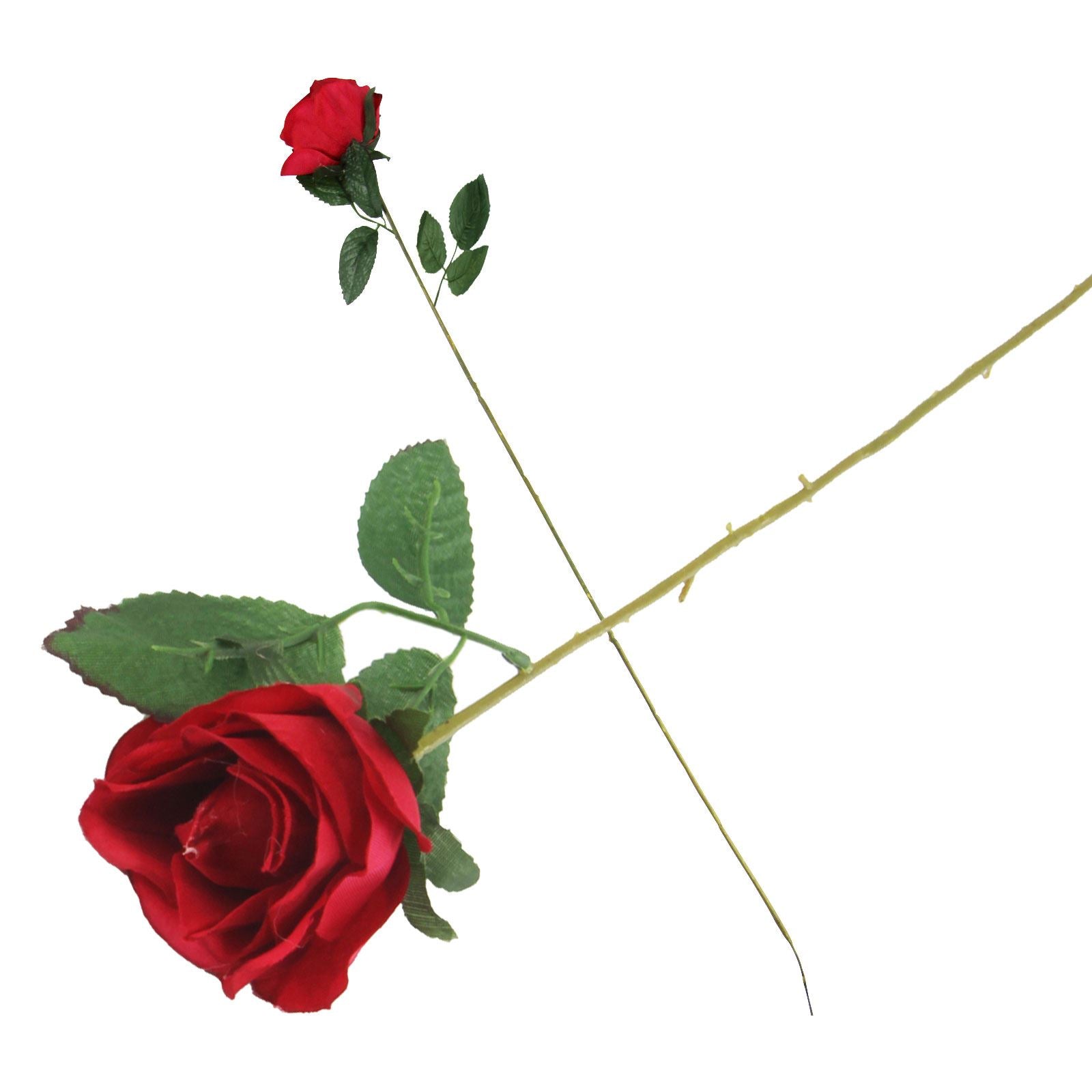 Single Eco Rose Stem