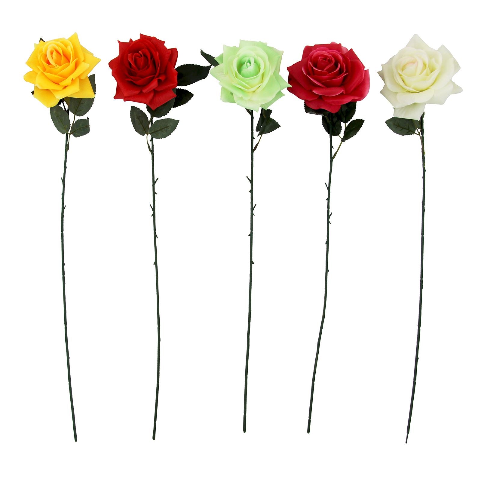 Large Plastic Premium Open Rose
