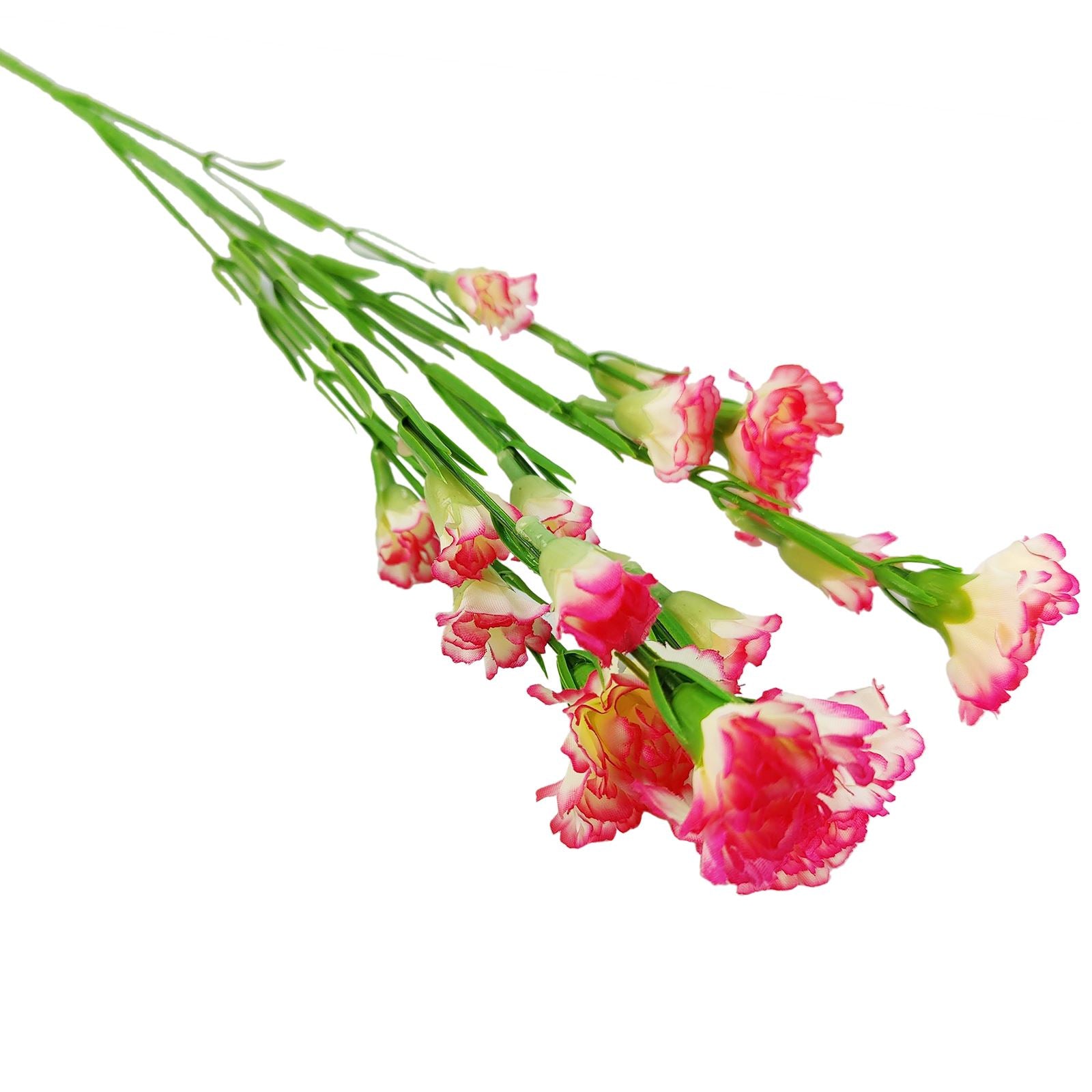 Carnation Spray