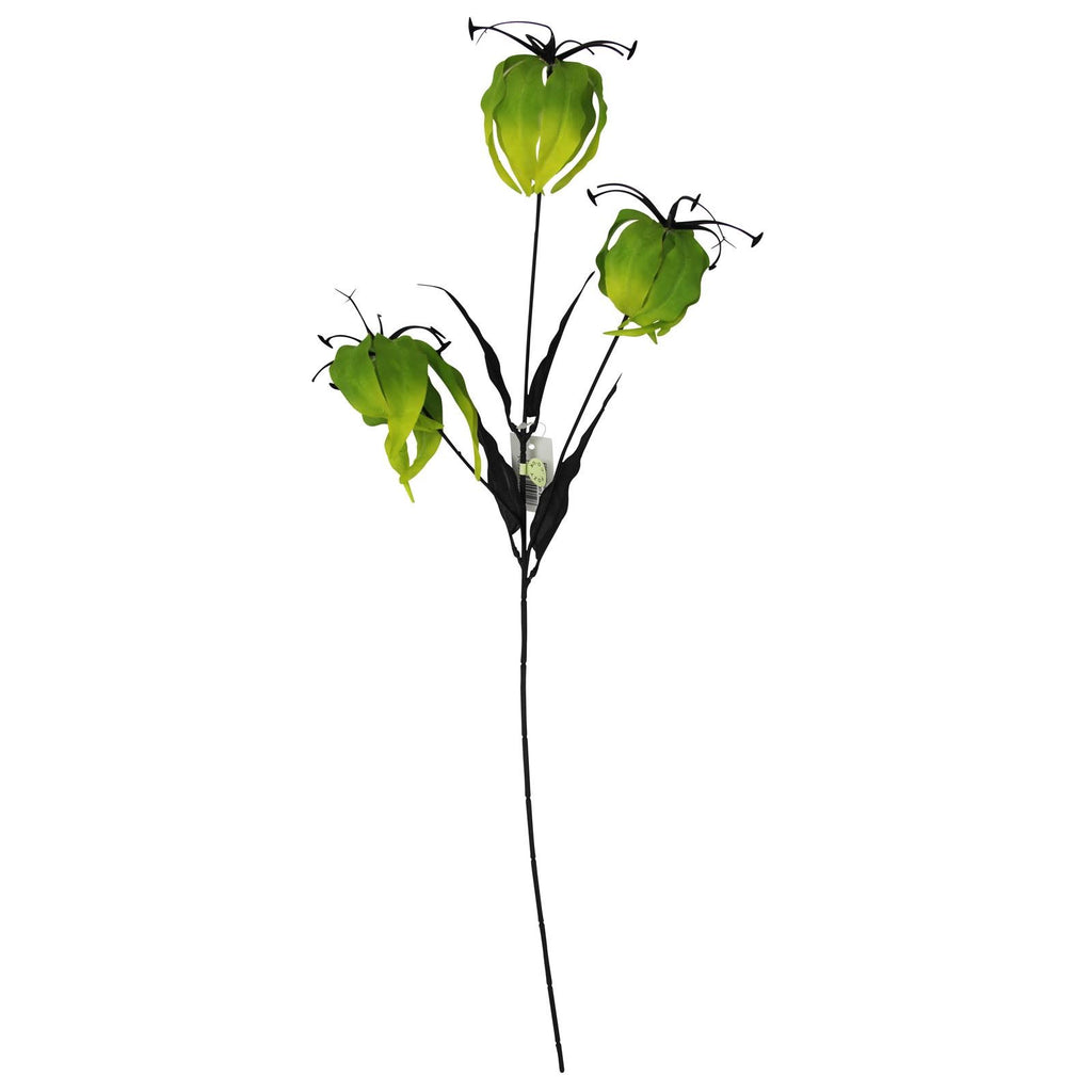 Gloriosa Spray with Black Foliage